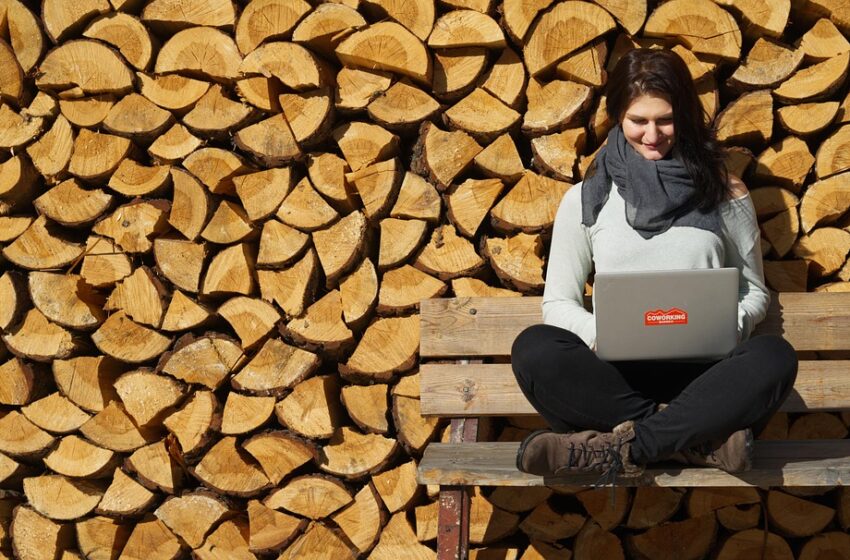 freelancing