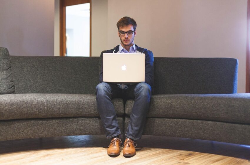 Upwork Bidder