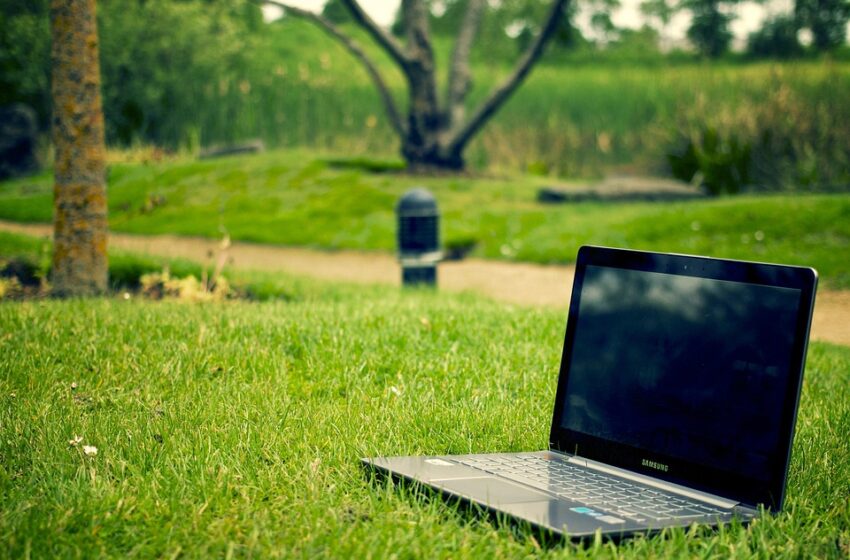 freelancing