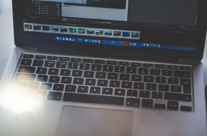 freelancing
